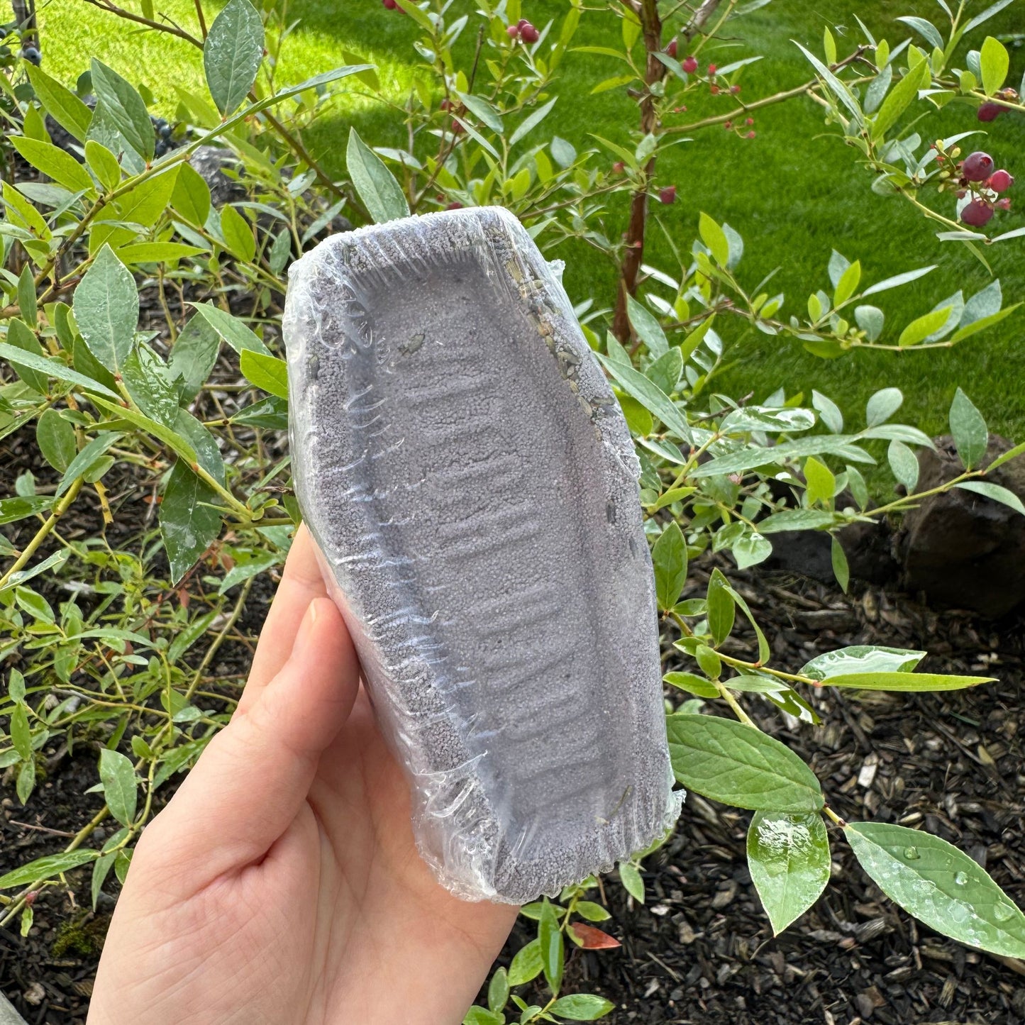 Witch Baby Soap - Laid Out in Lavendar Coffin Bath Bomb