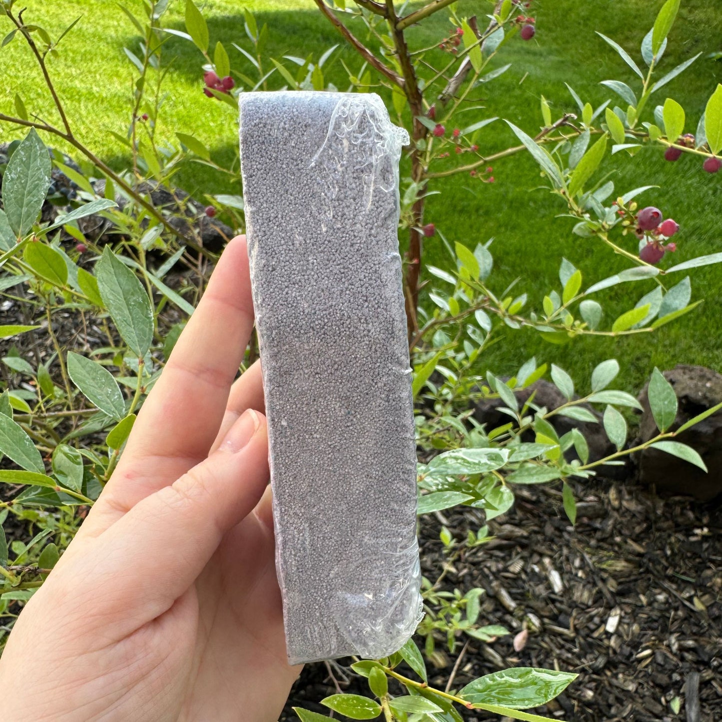 Witch Baby Soap - Laid Out in Lavendar Coffin Bath Bomb