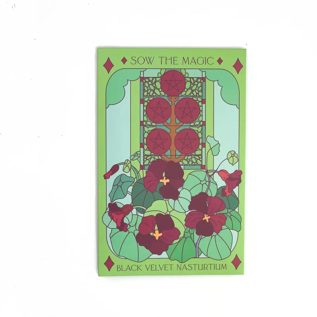 Sow the Magic – Black Velvet Nasturtium Tarot Garden + Gift Seed Packet