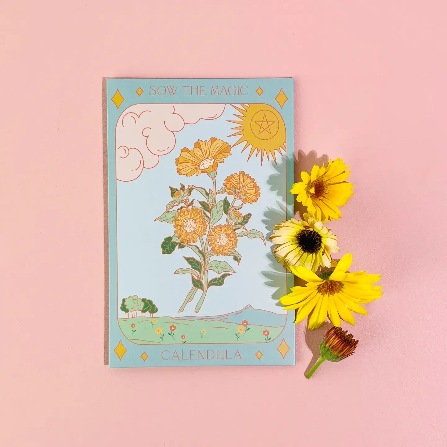 Sow the Magic – Calendula Tarot Garden + Gift Seed Packet