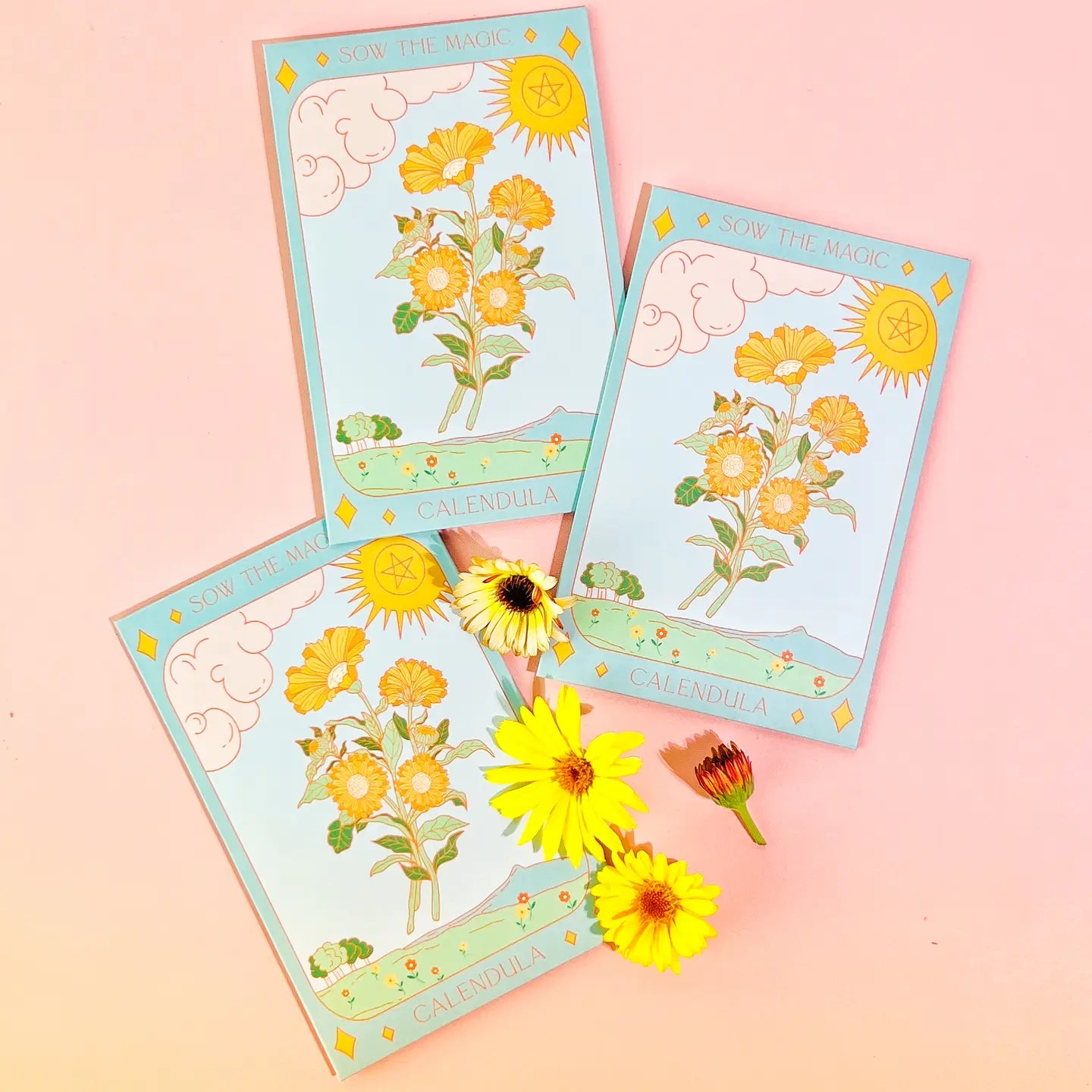 Sow the Magic – Calendula Tarot Garden + Gift Seed Packet