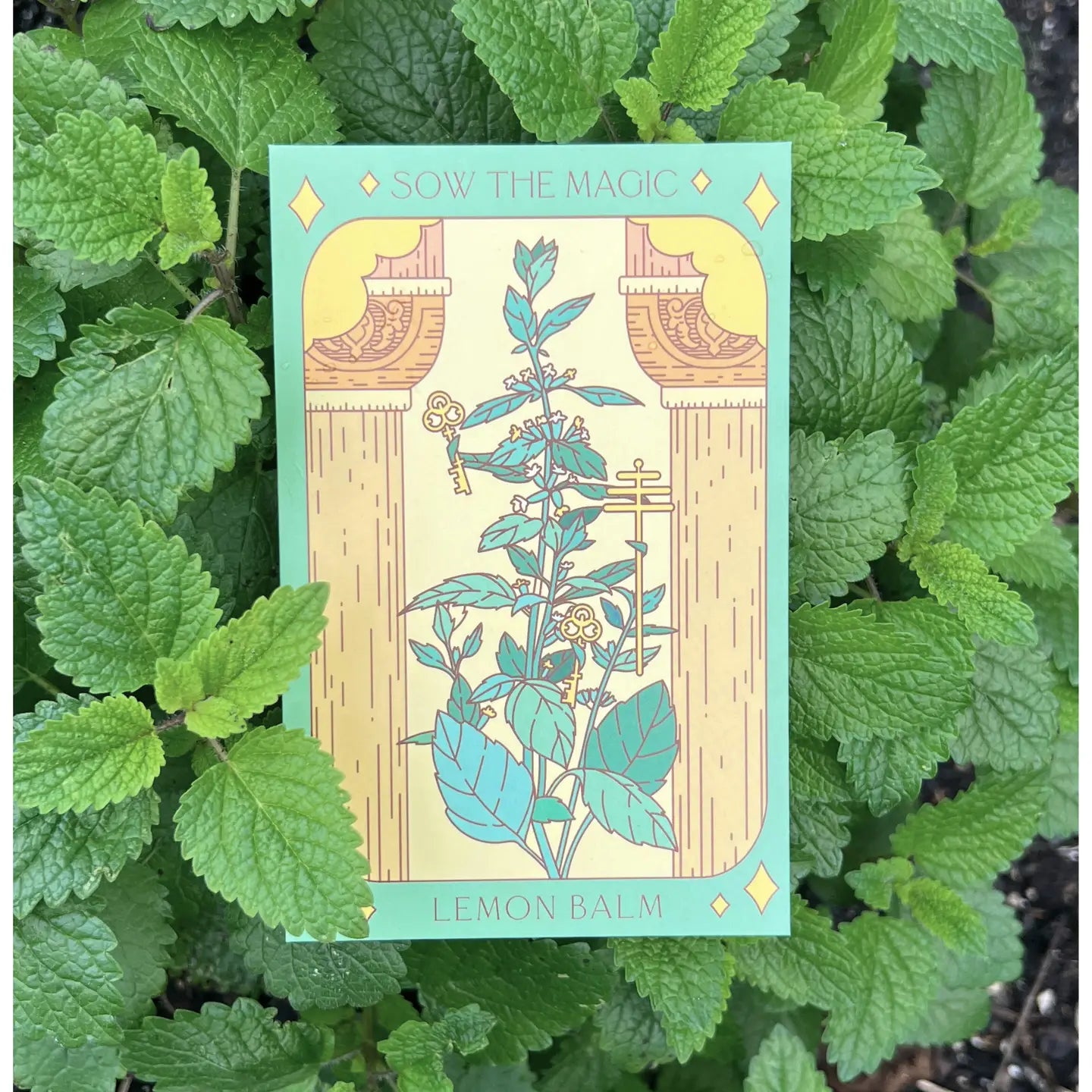 Sow the Magic – Lemon Balm Tarot Garden + Gift Seed Packet