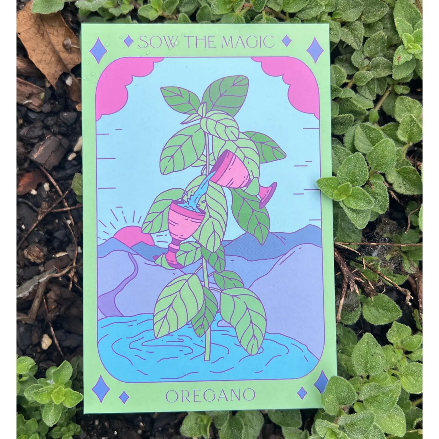 Sow the Magic – Oregano Tarot Garden + Gift Seed Packet