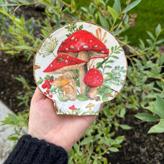 Shell Trinket Dish - Mushroom