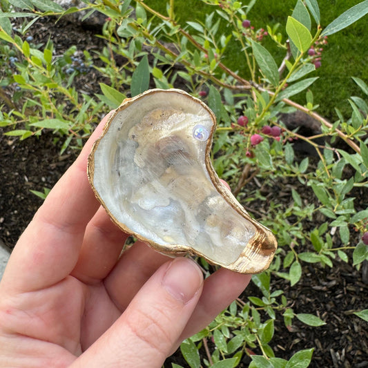 Shell Ring Dish - The Pearl