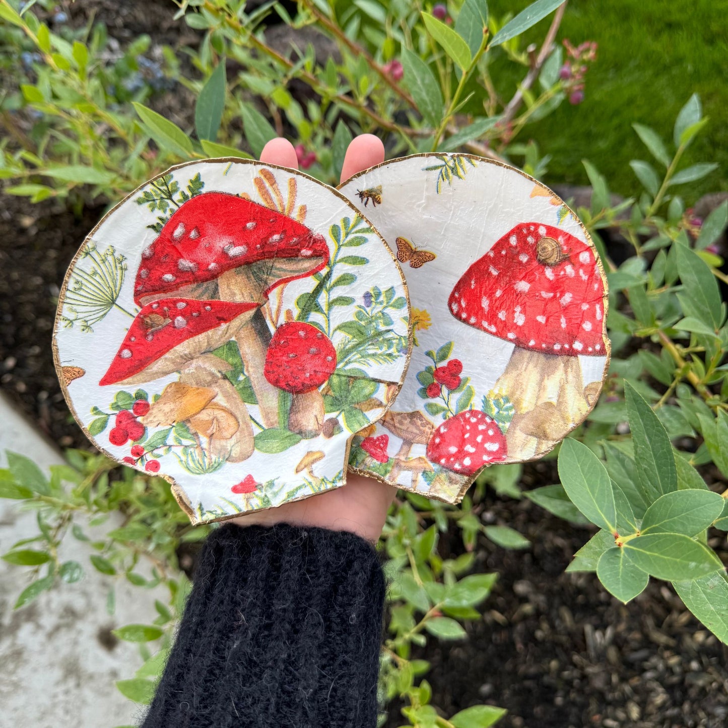 Shell Trinket Dish - Mushroom