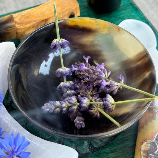Buffalo Horn Ritual Bowl