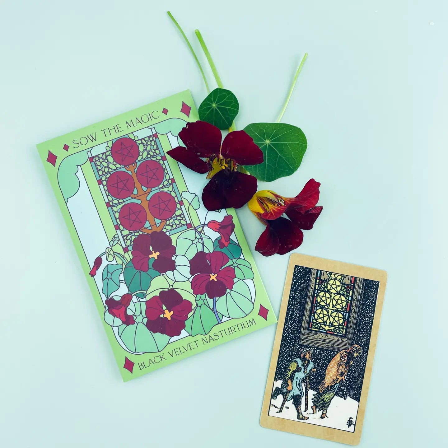 Sow the Magic – Black Velvet Nasturtium Tarot Garden + Gift Seed Packet