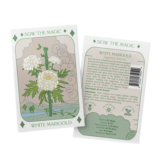 Sow the Magic – White Marigold Tarot Garden + Gift Seed Packet